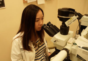 Dr. Lai reviews leukemia cell slides